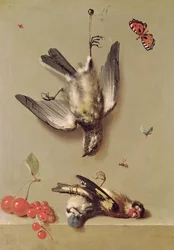 Martwa natura z martwymi ptakami i wiśniami, 1712